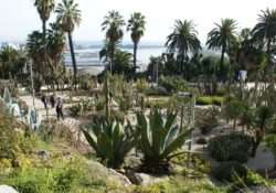 Gardens of Montjuic - Cactus Gardens - Barcelona - Spain